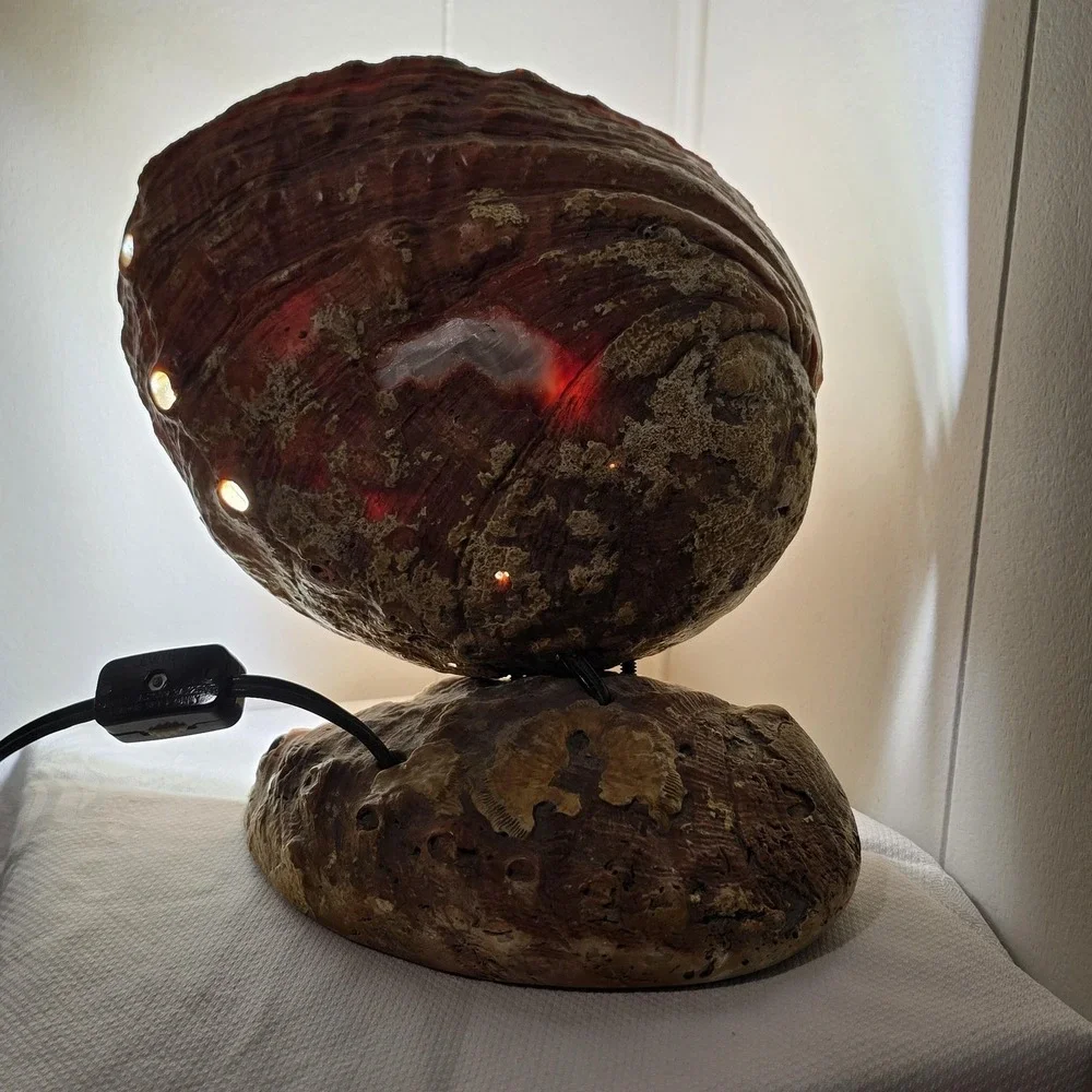 Vintage 60s Abalone Shell Lamp Mother of Pearl Coastal Beach Decor Night Light